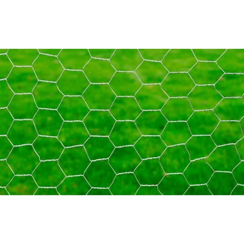 Chicken Wire Fence Galvanised Steel 25x1m Poultry Netting Garden Livestock