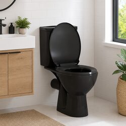 Black Soft Close Toilet Seat with Quick Release Feature