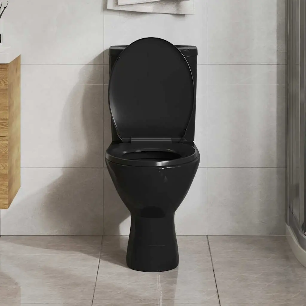 Toilet Seat Black Standard Bowl Soft Close Quick Release