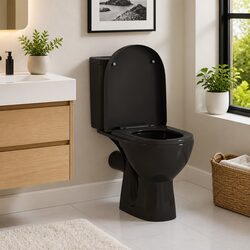 Black Soft-Close Toilet Seat