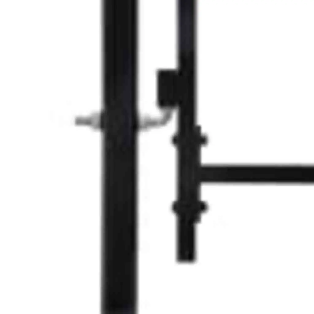 Garden Gate Black 299.5x224.5cm Double Door Fence Barrier with Spike Top