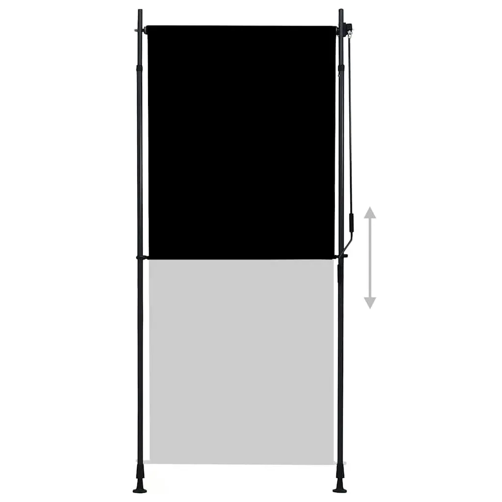 Outdoor Roller Blind Anthracite 100x270cm Hand Crank Shade