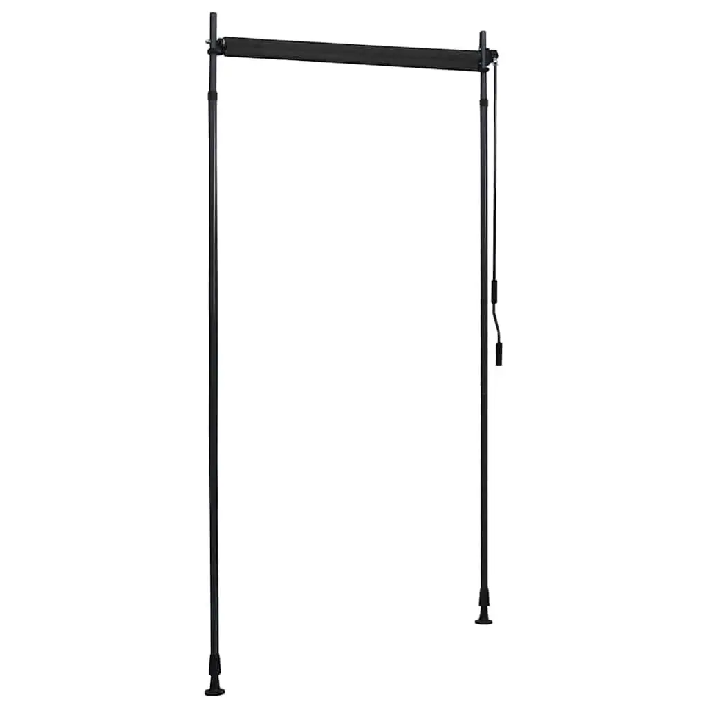 Outdoor Roller Blind Anthracite 100x270cm Hand Crank Shade