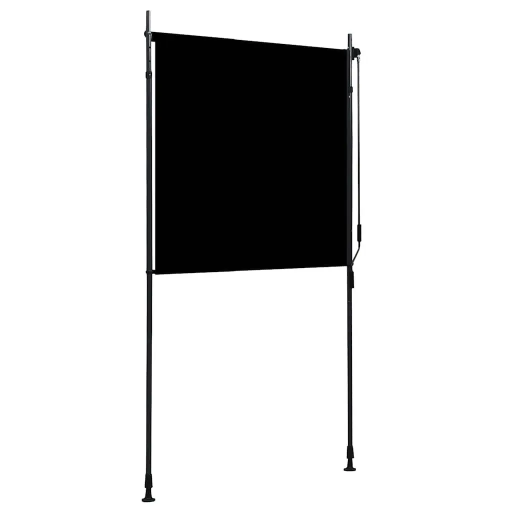Outdoor Roller Blind Anthracite 120x270cm Hand Crank Privacy Shade
