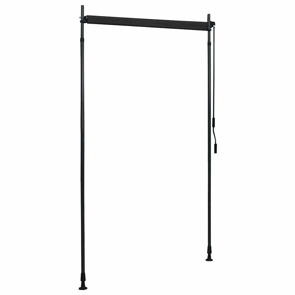 Outdoor Roller Blind Anthracite 120x270cm Hand Crank Privacy Shade