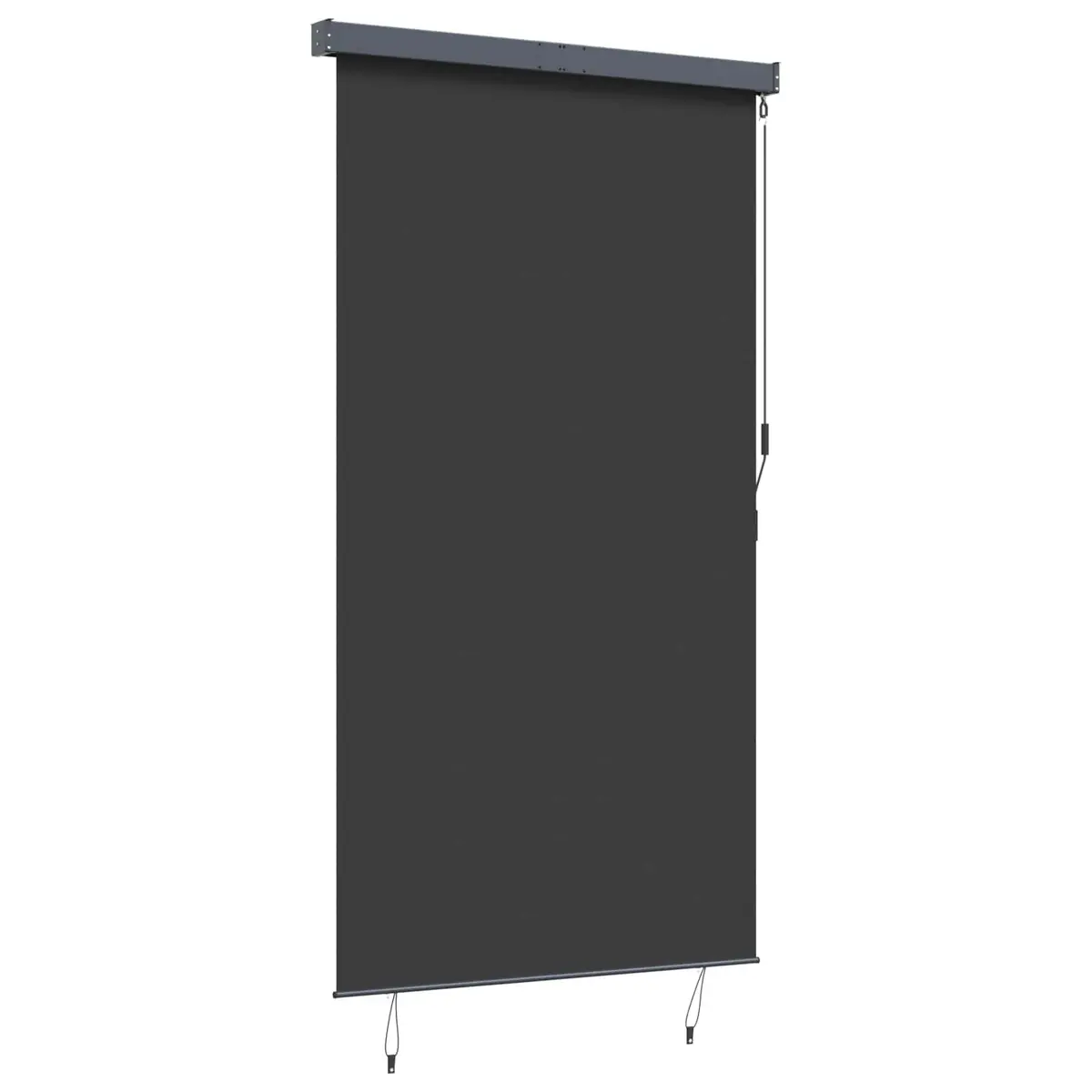 Outdoor Roller Blind Anthracite 140x250cm Hand Crank Mechanism