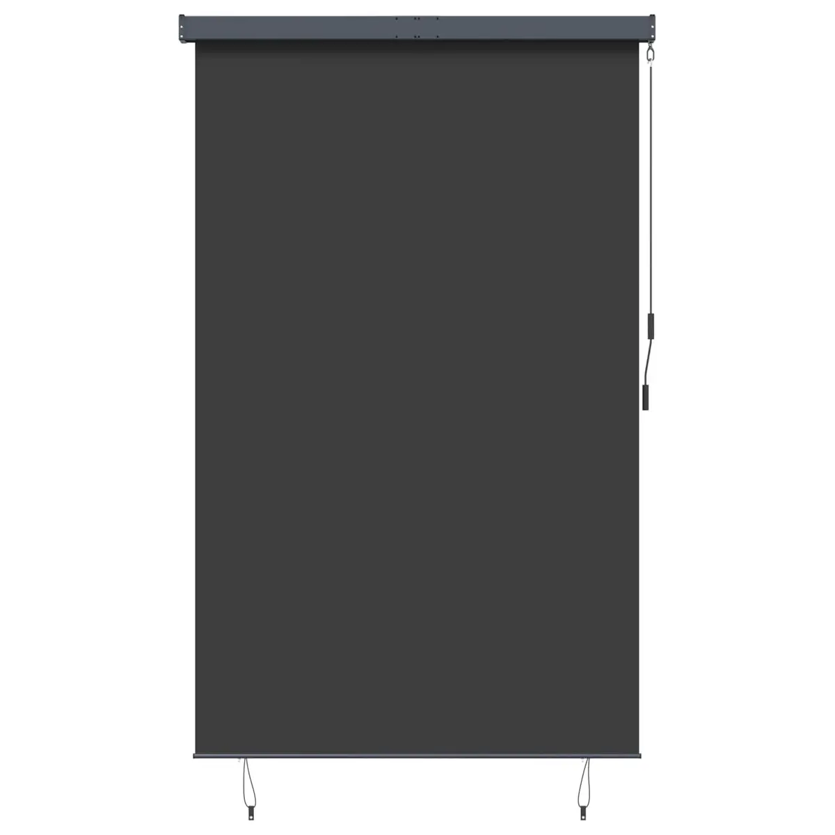 Outdoor Roller Blind Anthracite 160x250 cm Hand Crank Shade