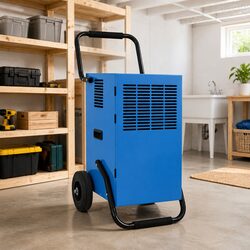 Compact Blue Dehumidifier 50L/24h, Powerful and Efficient