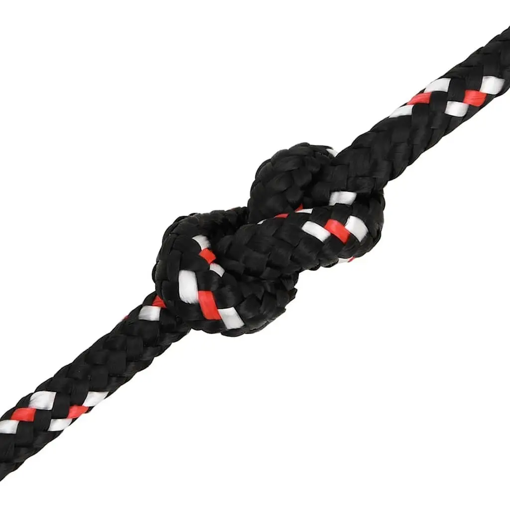 Boat Rope Black 6mm 50m Polypropylene Braided Marine Dock Line