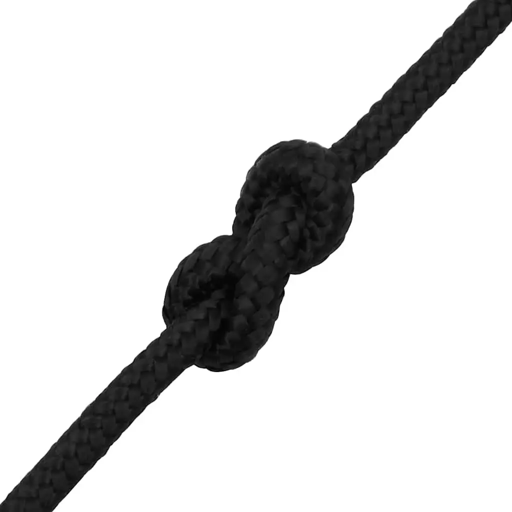 Braided Rope Black 10 mm 100 m Durable Polypropylene Weather Resistant Marine Dock Line