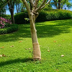 Jute Roll 0.25x15m – Perfect for All Your Decor Needs