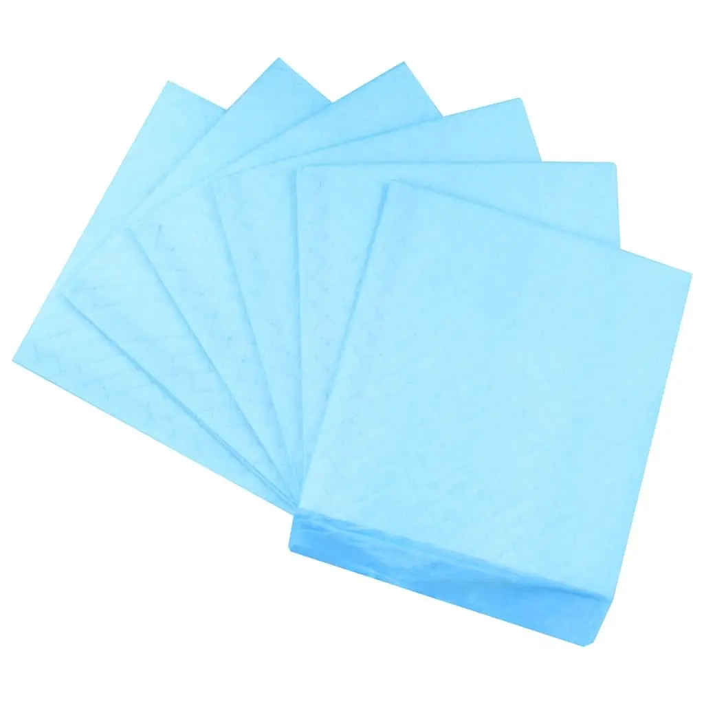 Pet Training Pads 100 Pieces 45x33 cm Puppy Dog Toilet Training Absorbent Non
