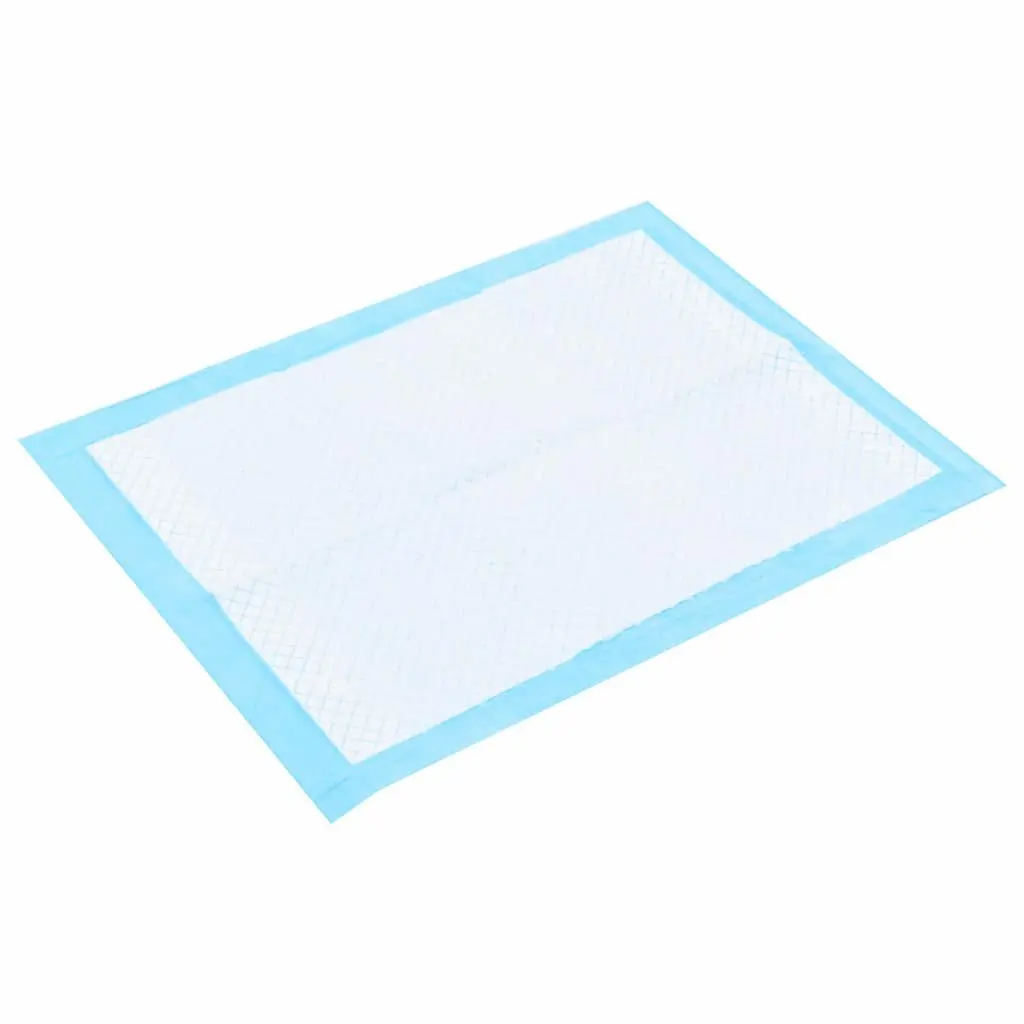 Pet Training Pads 100 Pieces 45x33 cm Puppy Dog Toilet Training Absorbent Non
