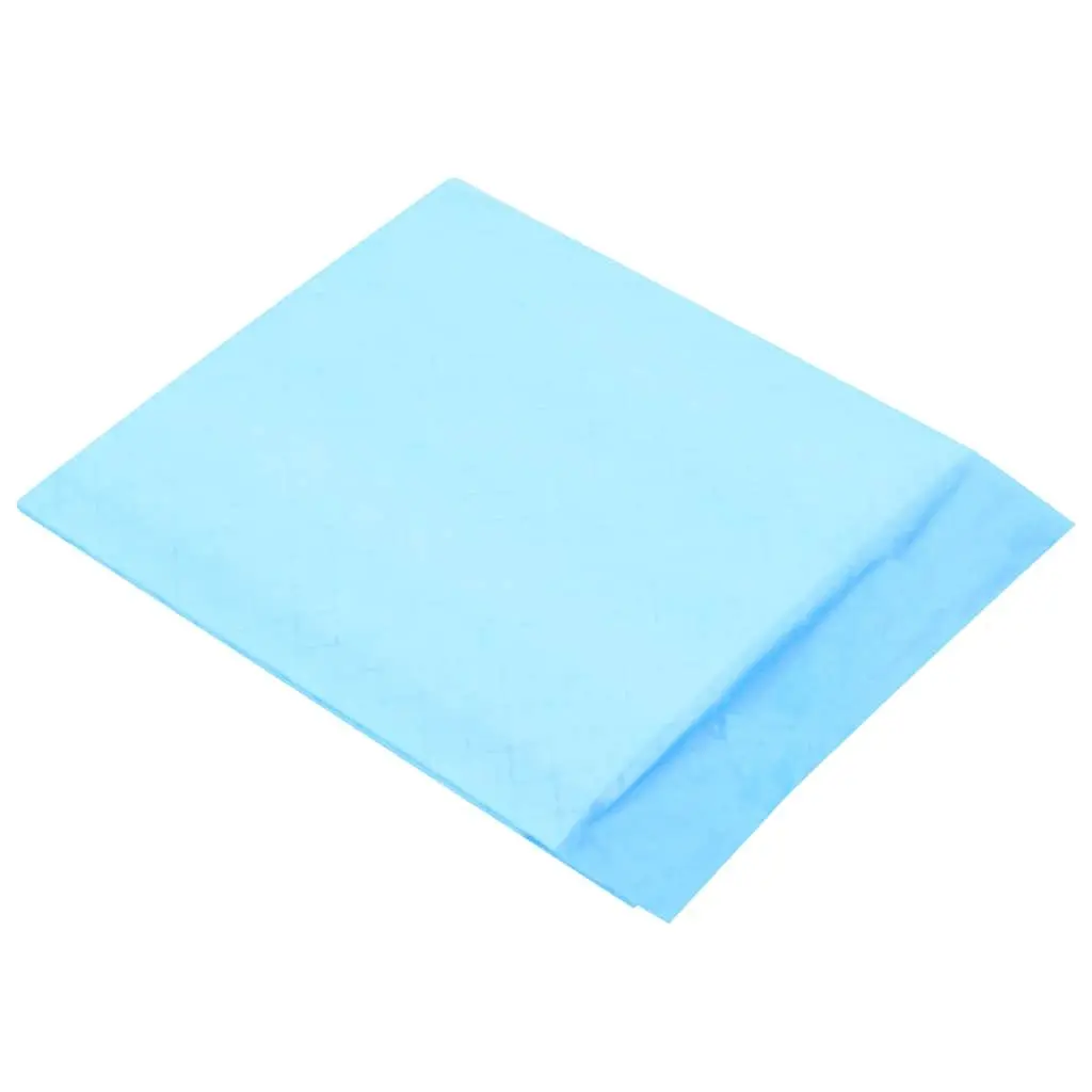 Pet Training Pads 400 Pack 45x33cm Non Woven Puppy House Training Toilet Pads