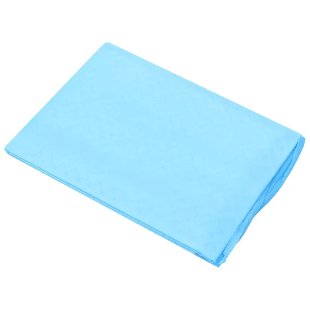 Pet Training Pads 400 Pieces 60x45 cm Puppy Dog Toilet Training Absorbent Pads