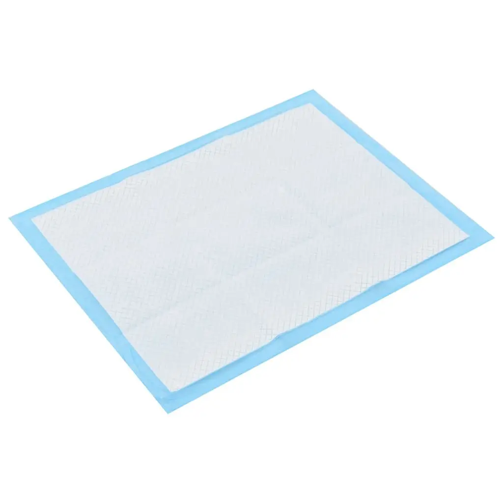 Pet Training Pads 400 Pieces 60x45 cm Puppy Dog Toilet Training Absorbent Pads