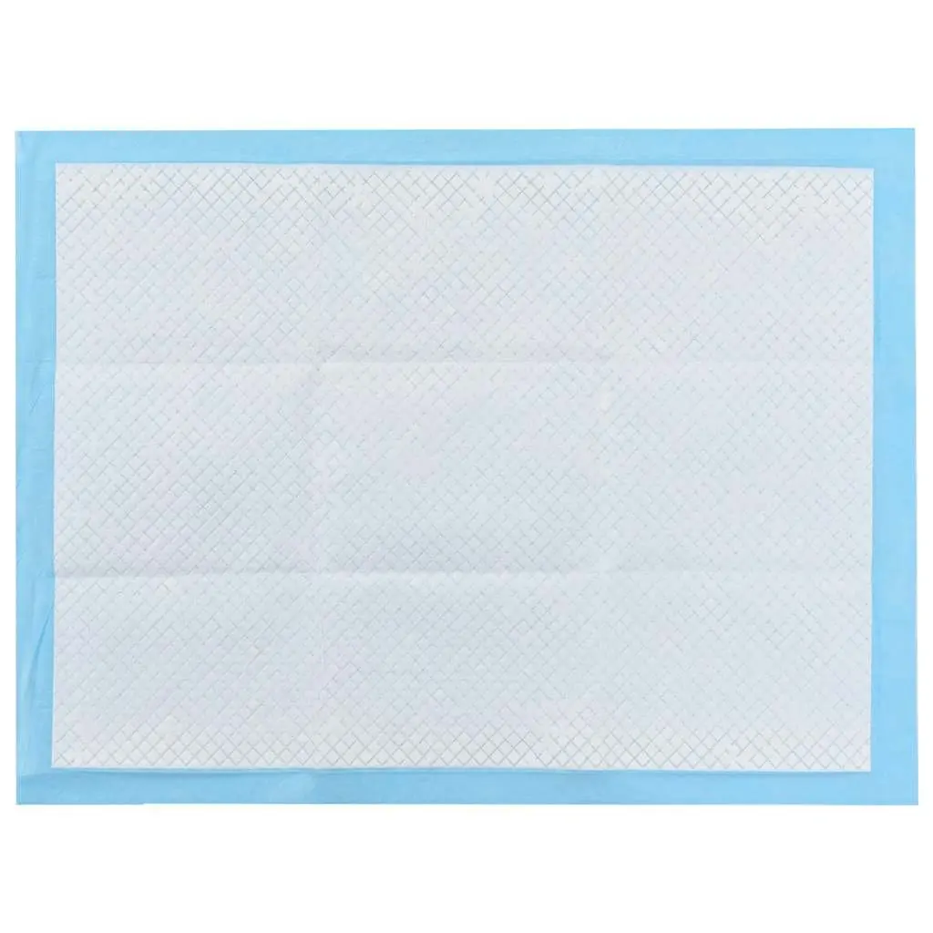 Pet Training Pads 400 Pieces 60x45 cm Puppy Dog Toilet Training Absorbent Pads