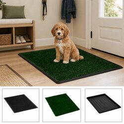 Discover Our Friendly Pet Toilet Training Pad 76x51cm