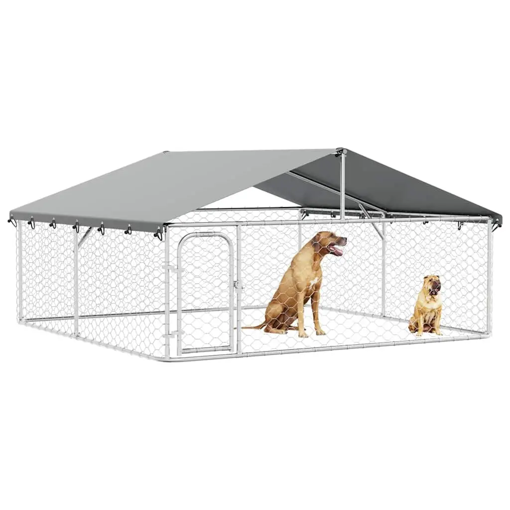 Outdoor Dog Kennel Silver Large Sturdy Construction with Roof Lockable Door