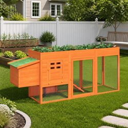 Compact Wooden Chicken Coop for Small Pets