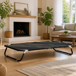 Concise and Confident Elevated Dog Bed in Anthracite