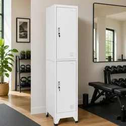 Your New Storage Solution: 2-Compartment Locker Cabinet