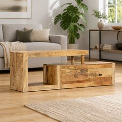 Compact TV Cabinet 120x30x40cm in Mango Wood