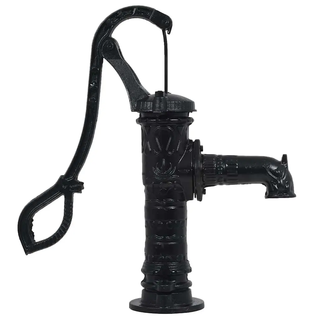 Hand Operated Garden Water Pump Black Cast Iron Stand 38 mm Female Fitting