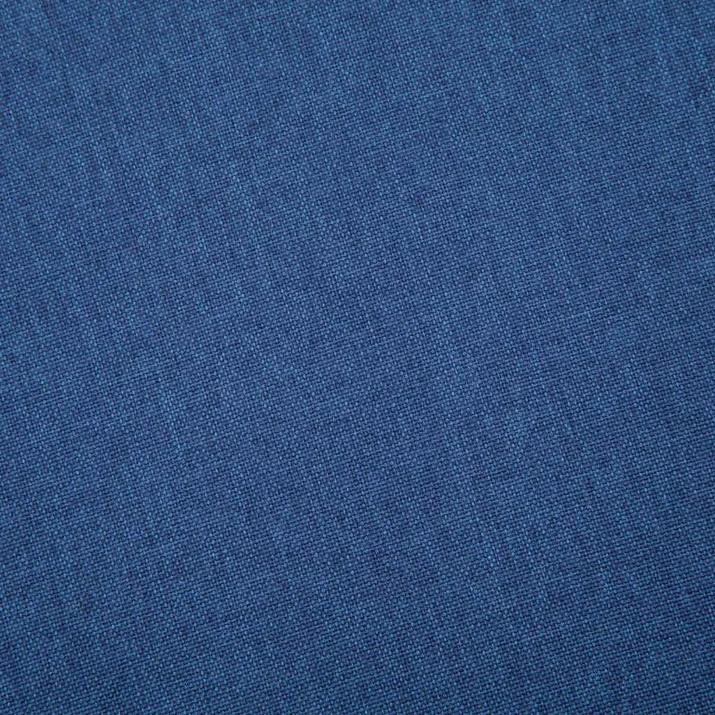 Blue Fabric 2-Seater Sofa Living Room Couch Thick Cushions Removable Covers Sturdy Frame