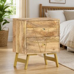 Concise Nightstand 40x30x50 cm with 2 Drawers
