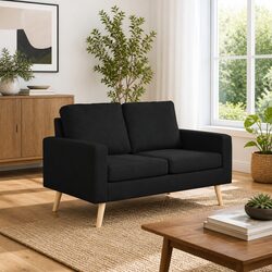Concise and Comfortable 2-Seater Sofa in Black