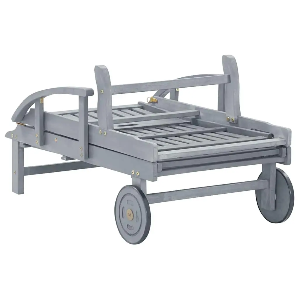 Grey Sun Lounger with Adjustable Components