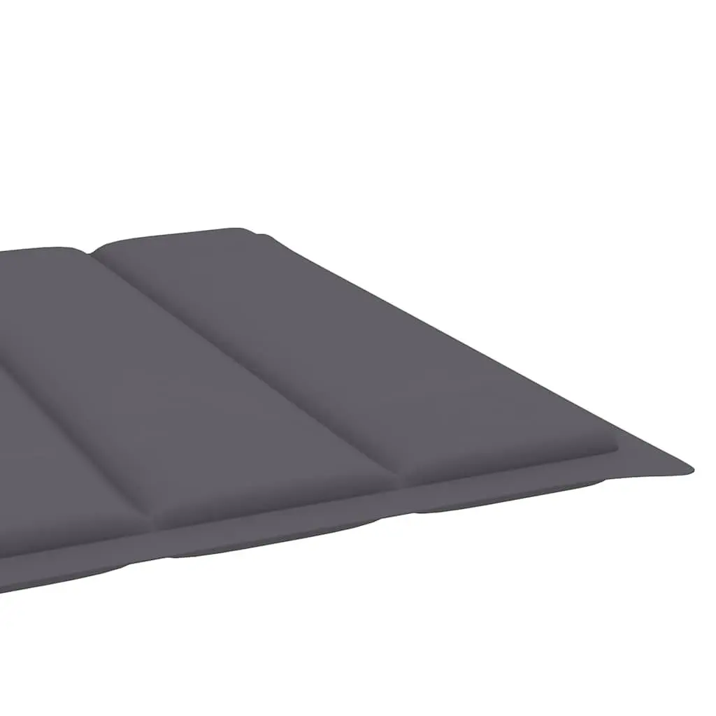 Grey Sun Lounger with Adjustable Components