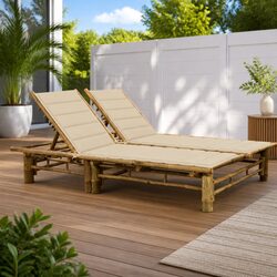 Compact 2-Person Sun Lounger with Adjustable Features