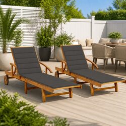Concise Comfort: Sun Lounger Set - Taupe