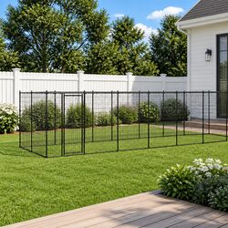 Concise Outdoor Dog Kennel with Mesh and Steel Structure