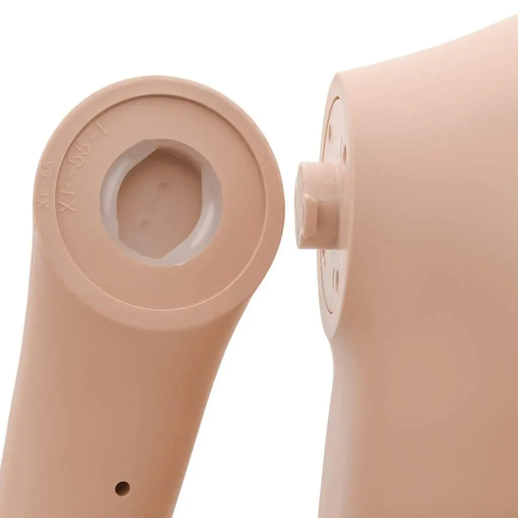 Female Mannequin Display Figure Beige 360° Adjustable Head Arms
