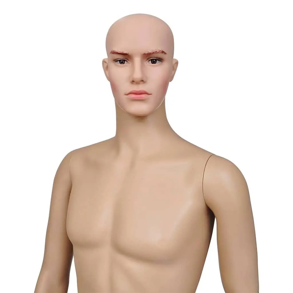 Full-Body Male Mannequin Beige 6 Piece Articulated Head Arms Legs 360 Degree Rotation