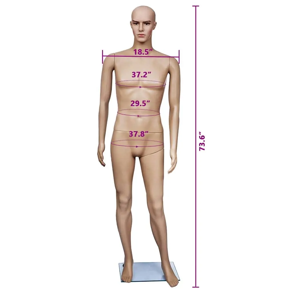 Full-Body Male Mannequin Beige 6 Piece Articulated Head Arms Legs 360 Degree Rotation