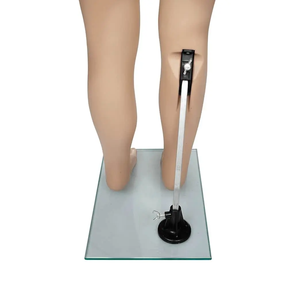 Child Mannequin Display Torso Beige Removable Arms Rotating 360 Degrees