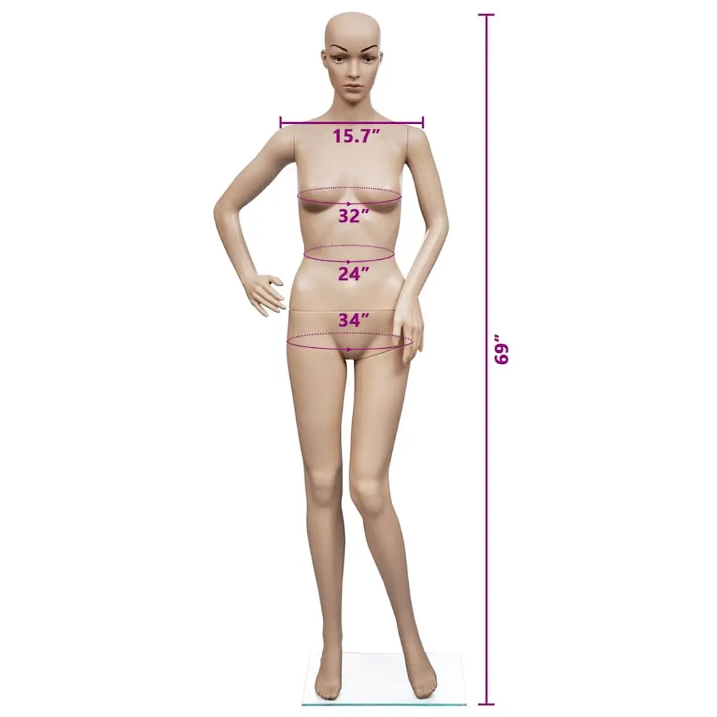 Full Body Mannequin Beige 6 Piece Display Torso with Glass Base Stand
