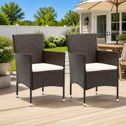 Outdoor Dining Chairs, Set of 2