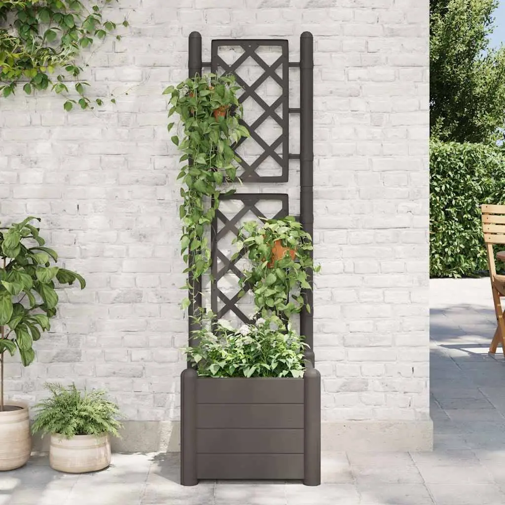 Garden Planter Anthracite 43 x 43 x 142 cm Integrated Trellis for Climbing Plants Support