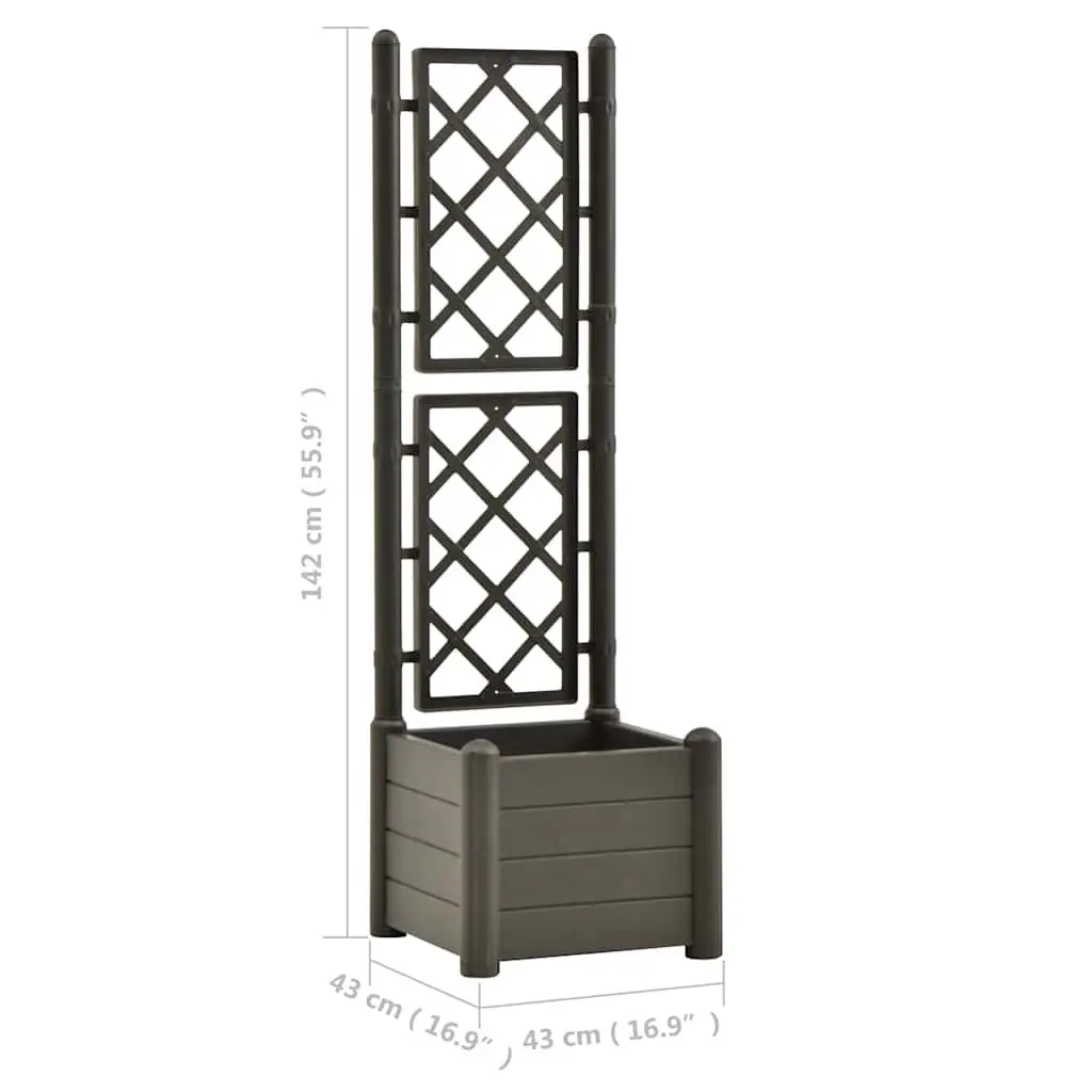 Garden Planter Anthracite 43 x 43 x 142 cm Integrated Trellis for Climbing Plants Support