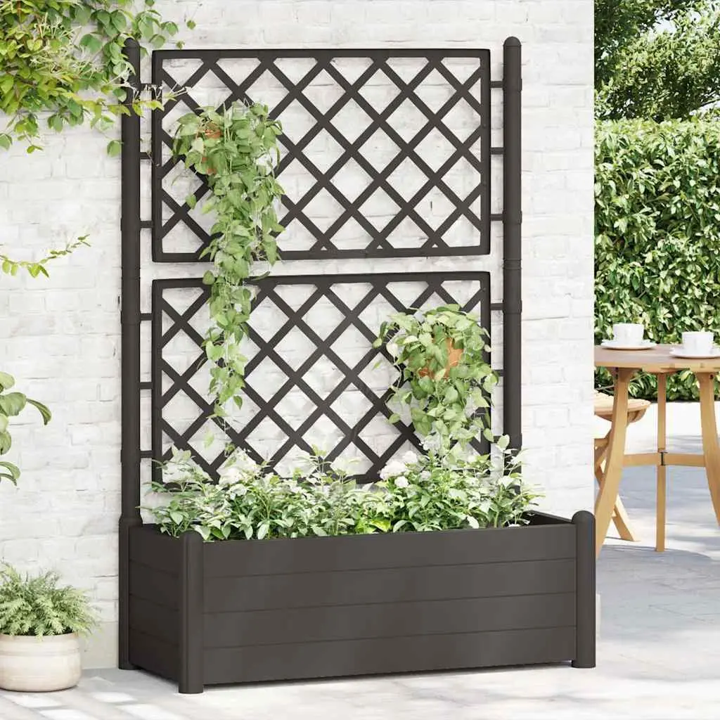 Garden Planter Anthracite 100 x 43 x 142 cm Integrated Trellis for Climbing Plants