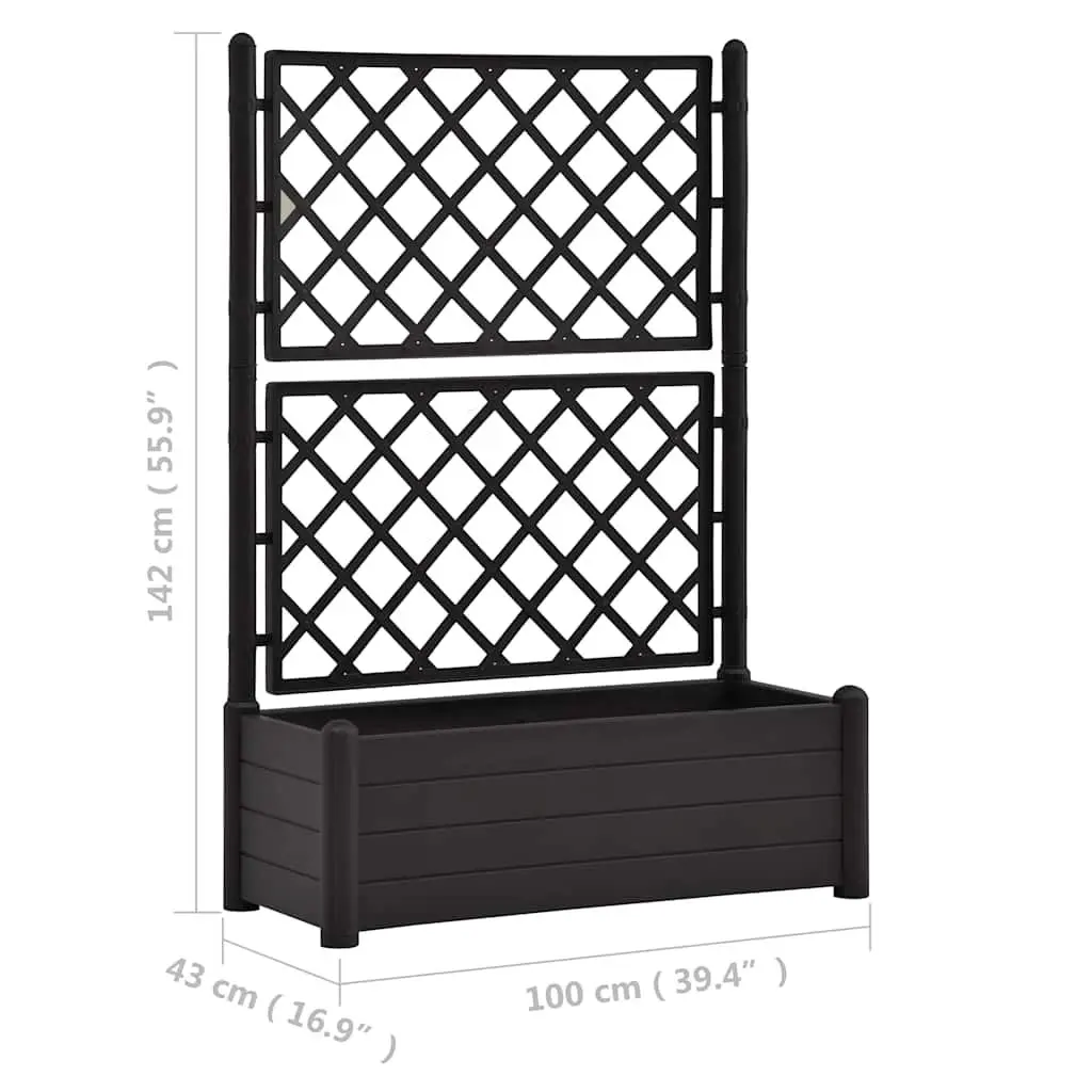 Garden Planter Anthracite 100 x 43 x 142 cm Integrated Trellis for Climbing Plants