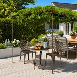 Garden Pergola Lean-to Outdoor Structure Wrought Iron Frame Brown 3x3x2.5m