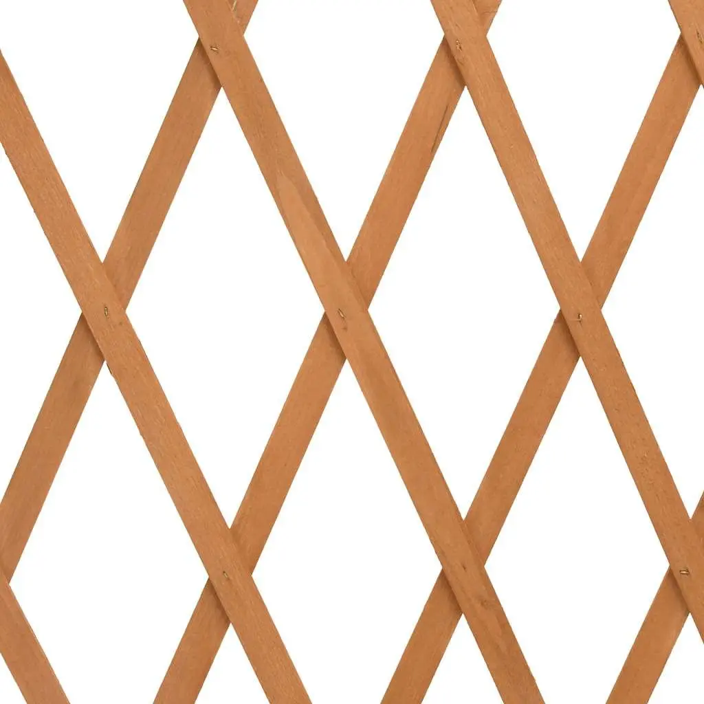 Garden Trellis Fence Panel Expandable Wooden Outdoor Privacy Screen 180cm