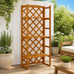 Plant Stand with Trellis Orange 60x30x140 cm Wooden Shelves Garden Display
