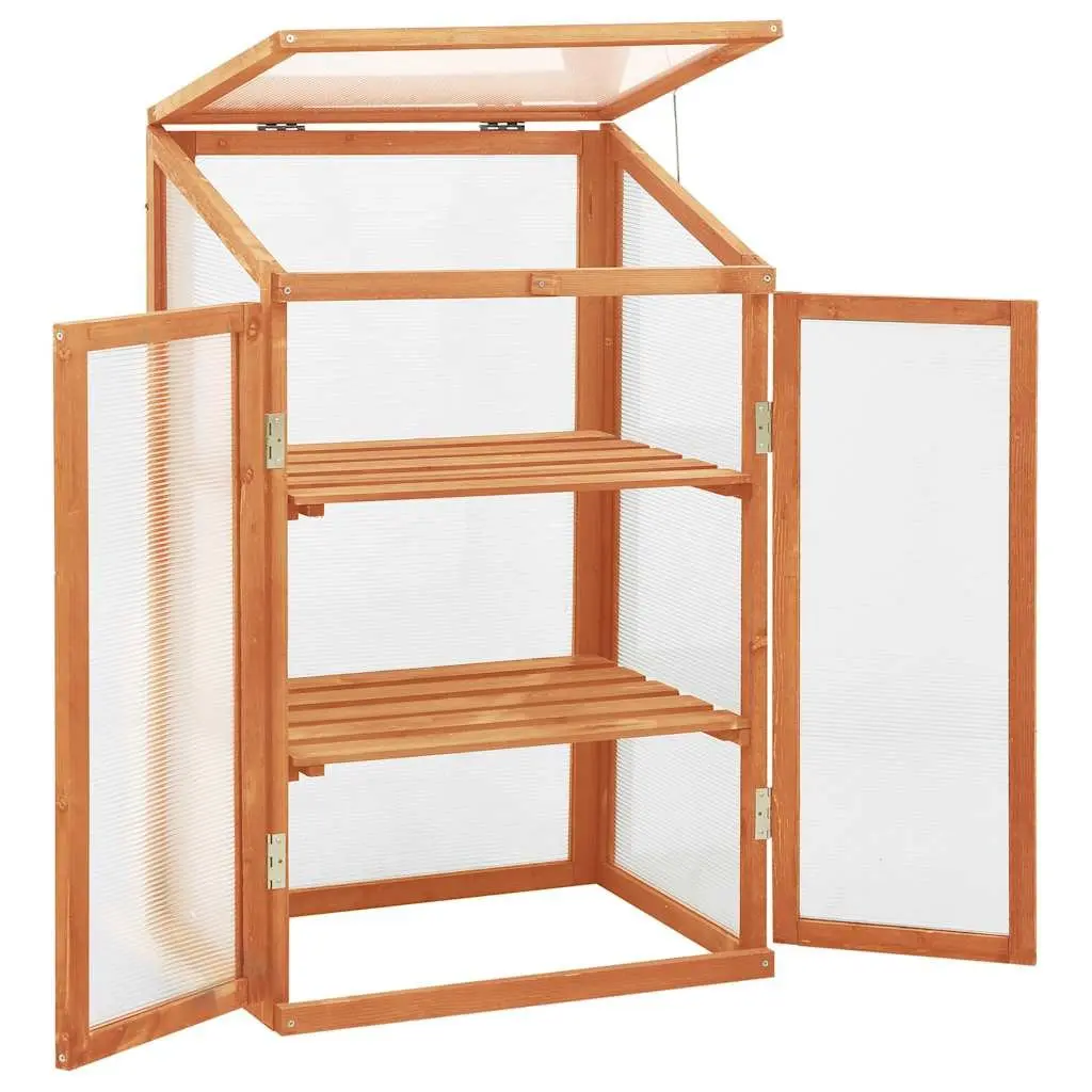 Wooden Greenhouse 60x45x100 cm Garden Plant Shelter Herbs Flowers Storage